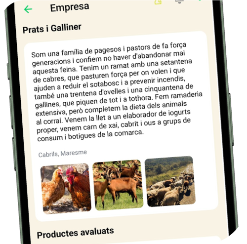 Fitxa de l'empresa